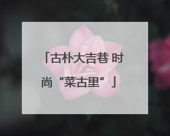 古朴大吉巷 时尚“菜古里”