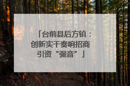 台前县后方镇：创新实干奏响招商引资“强音”