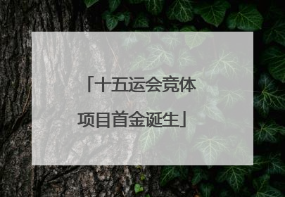 十五运会竞体项目首金诞生