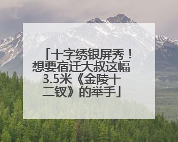 十字绣银屏秀！想要宿迁大叔这幅3.5米《金陵十二钗》的举手