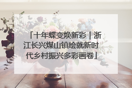 十年蝶变焕新彩｜浙江长兴煤山镇绘就新时代乡村振兴多彩画卷