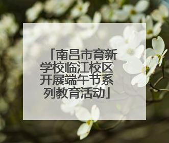 南昌市育新学校临江校区开展端午节系列教育活动