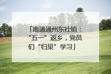 南通通州东社镇：“五一”返乡，党员们“归巢”学习