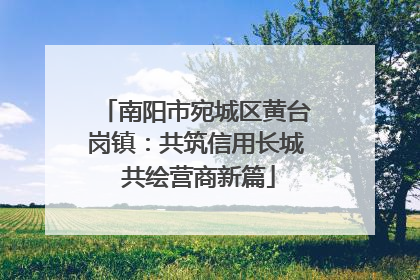 南阳市宛城区黄台岗镇：共筑信用长城 共绘营商新篇