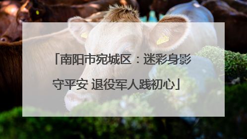 南阳市宛城区：迷彩身影守平安 退役军人践初心