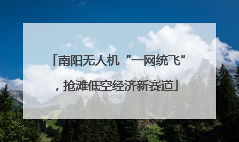 南阳无人机“一网统飞”，抢滩低空经济新赛道