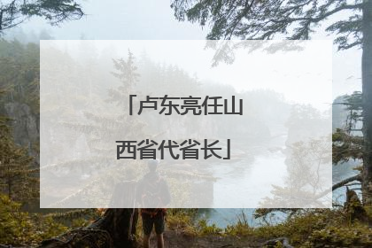 卢东亮任山西省代省长