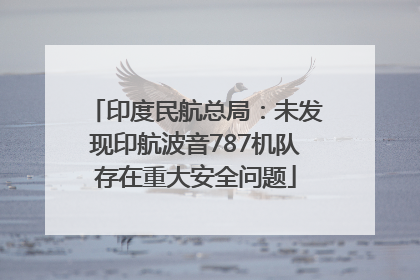 印度民航总局：未发现印航波音787机队存在重大安全问题