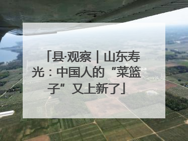 县·观察｜山东寿光：中国人的“菜篮子”又上新了