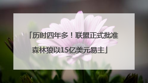 历时四年多！联盟正式批准森林狼以15亿美元易主