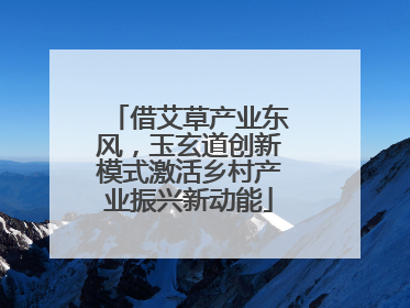 借艾草产业东风，玉玄道创新模式激活乡村产业振兴新动能