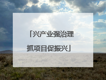 兴产业强治理 抓项目促振兴