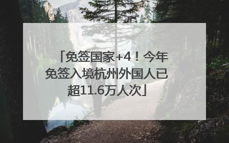 免签国家+4！今年免签入境杭州外国人已超11.6万人次