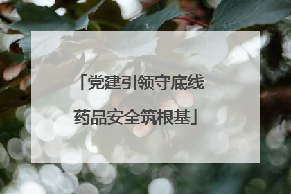 党建引领守底线 药品安全筑根基