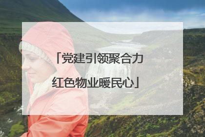 党建引领聚合力 红色物业暖民心