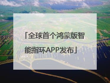 全球首个鸿蒙版智能指环APP发布
