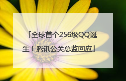 全球首个256级QQ诞生！腾讯公关总监回应