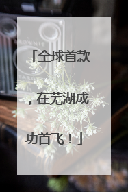 全球首款，在芜湖成功首飞！