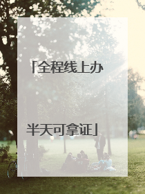 全程线上办 半天可拿证