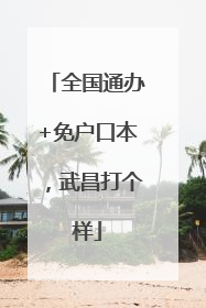 全国通办+免户口本，武昌打个样