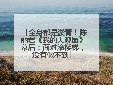 全身都是淤青！陈丽君《我的大观园》幕后：面对滚楼梯，没有做不到