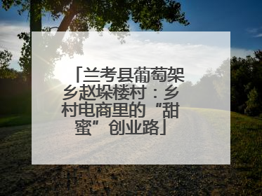 兰考县葡萄架乡赵垛楼村：乡村电商里的“甜蜜”创业路