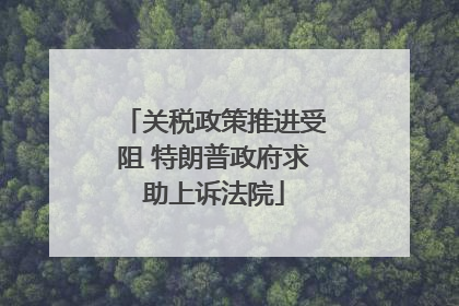 关税政策推进受阻 特朗普政府求助上诉法院
