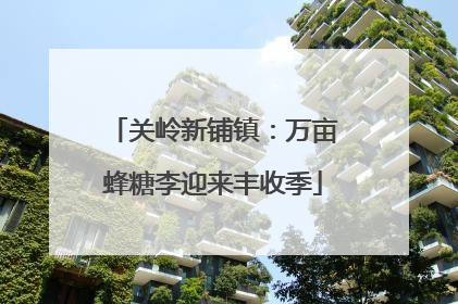 关岭新铺镇：万亩蜂糖李迎来丰收季