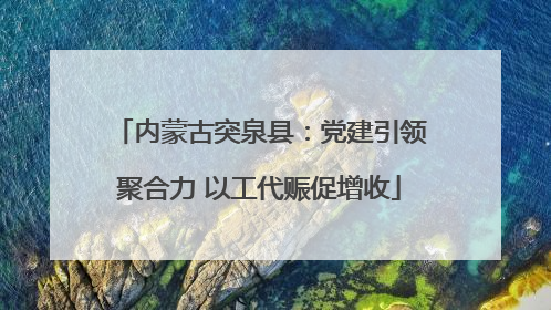 内蒙古突泉县：党建引领聚合力 以工代赈促增收