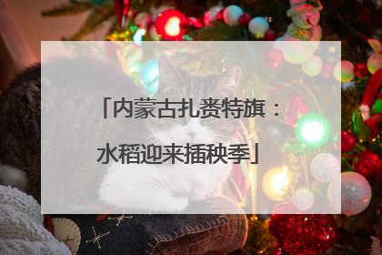 内蒙古扎赉特旗：水稻迎来插秧季