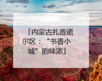 内蒙古扎赉诺尔区：“书香小城”韵味浓