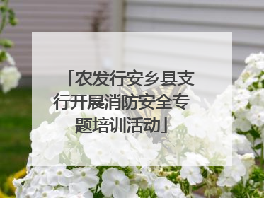 农发行安乡县支行开展消防安全专题培训活动