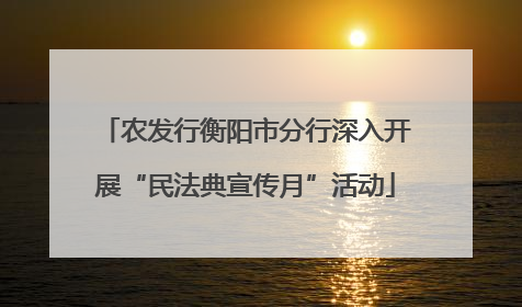 农发行衡阳市分行深入开展“民法典宣传月”活动