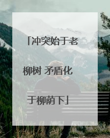 冲突始于老柳树 矛盾化于柳荫下