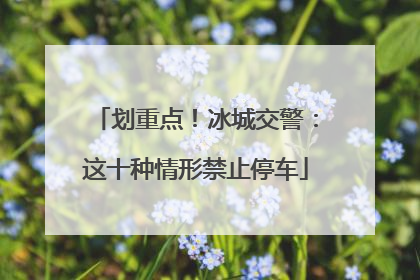 划重点！冰城交警：这十种情形禁止停车