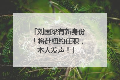 刘国梁有新身份！将赴纽约任职，本人发声！