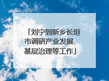 刘宁到新乡长垣市调研产业发展、基层治理等工作