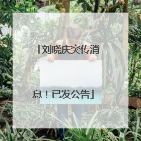 刘晓庆突传消息！已发公告