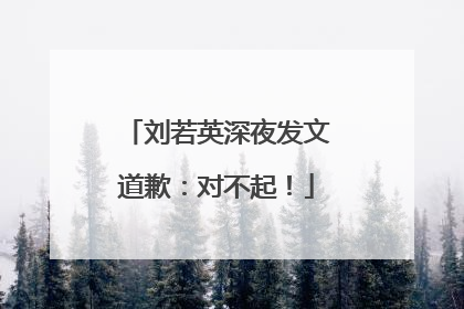 刘若英深夜发文道歉：对不起！
