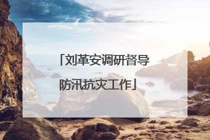 刘革安调研督导防汛抗灾工作