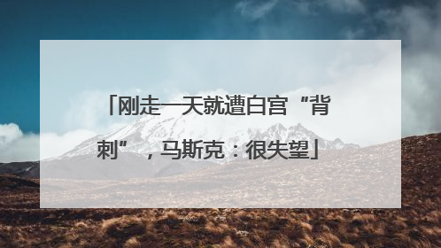 刚走一天就遭白宫“背刺”，马斯克：很失望