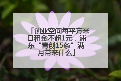 创业空间每平方米日租金不超1元，浦东“青创15条”满月带来什么