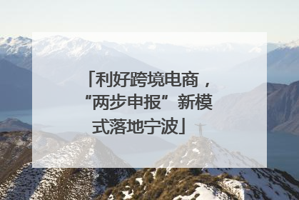 利好跨境电商，“两步申报”新模式落地宁波