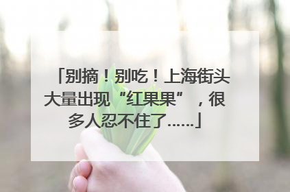 别摘！别吃！上海街头大量出现“红果果”，很多人忍不住了……