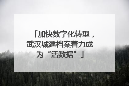 加快数字化转型，武汉城建档案着力成为“活数据”