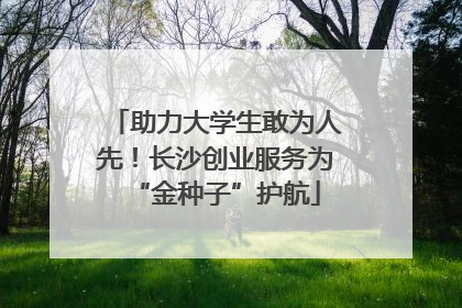 助力大学生敢为人先！长沙创业服务为“金种子”护航