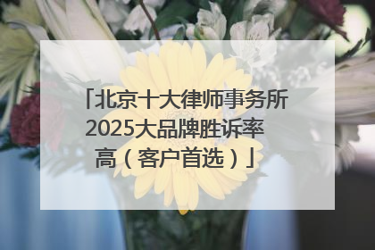 北京十大律师事务所2025大品牌胜诉率高（客户首选）