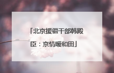 北京援疆干部韩殿臣：京情暖和田
