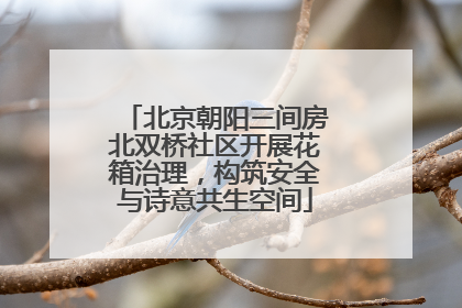 北京朝阳三间房北双桥社区开展花箱治理，构筑安全与诗意共生空间