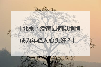 北京：潘家园何以悄悄成为年轻人心头好？